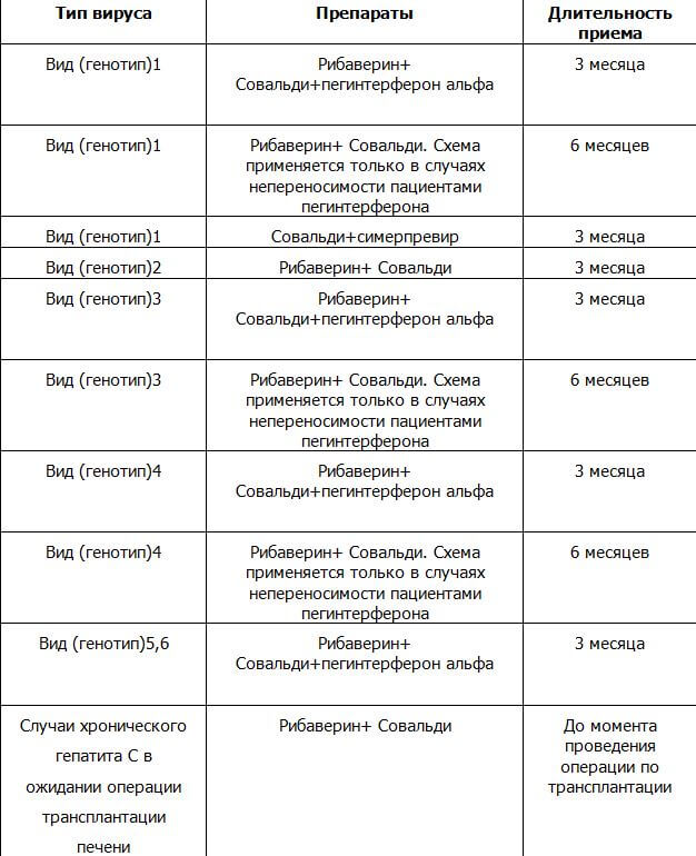схема лечения от паразитов схема лечения от паразитов
