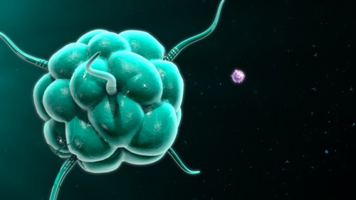 Лечение невриномы в Израиле | Цены и отзывы в Ихилов