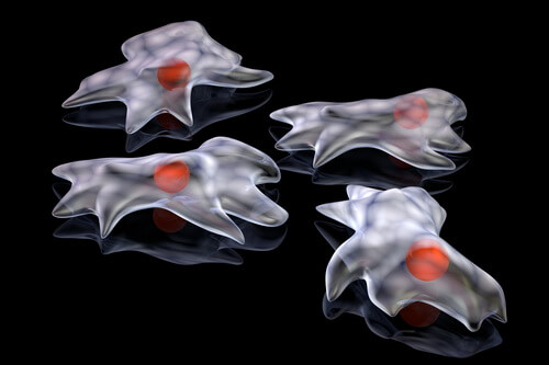 Лечение плоскоклеточного рака кожи в Израиле | Цены и отзывы в Ихилов