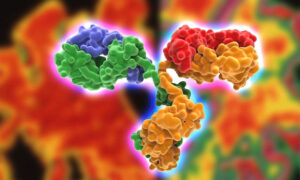 Прорыв в лечении миеломы без химии